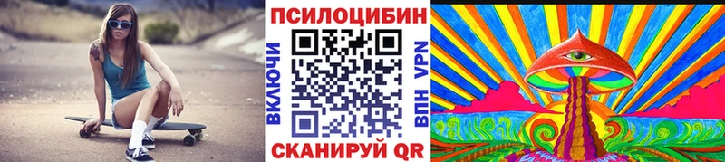 Псилоцибиновые грибы Cubensis закладки Приволжск